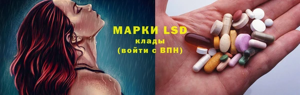 прущие крисы Аркадак