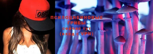 СК Арсеньев