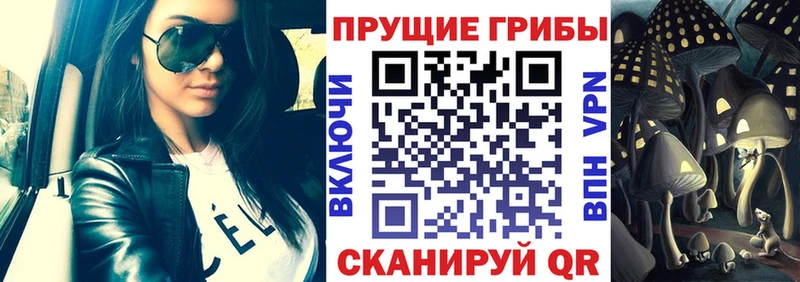 Галлюциногенные грибы прущие грибы Куйбышев